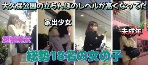 探店舌尖爆料视频,舌尖上的美食之旅，带你领略各地特色佳肴