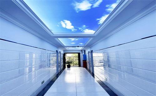 湖南智博画室爆料视频,揭秘艺术培训行业内幕