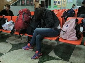 一路向西在线观看西瓜,穿越时空的奇幻之旅